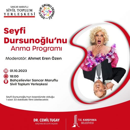 Huysuz Virjin